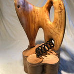 Spring Metamorphosis