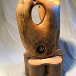 Spring Metamorphosis