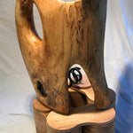 Spring Metamorphosis