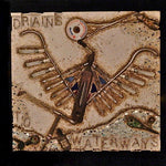 Bird Flu: Our Medicine, Nature's Disease