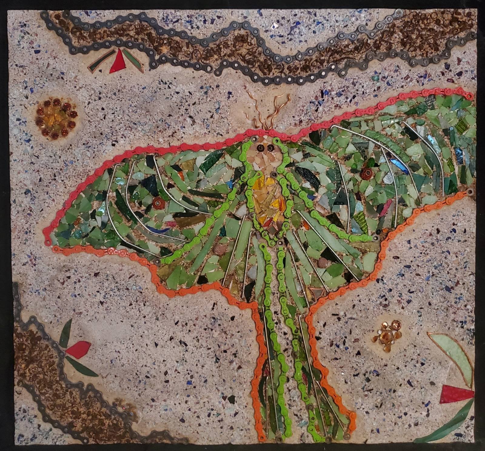 Moon Moth