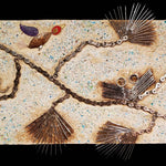 Birds on Pine Branches