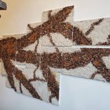 Controlled Burn (11 piece polyptych)