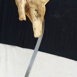 Gift Horses