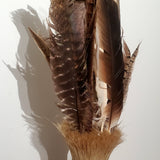 The Native in Me